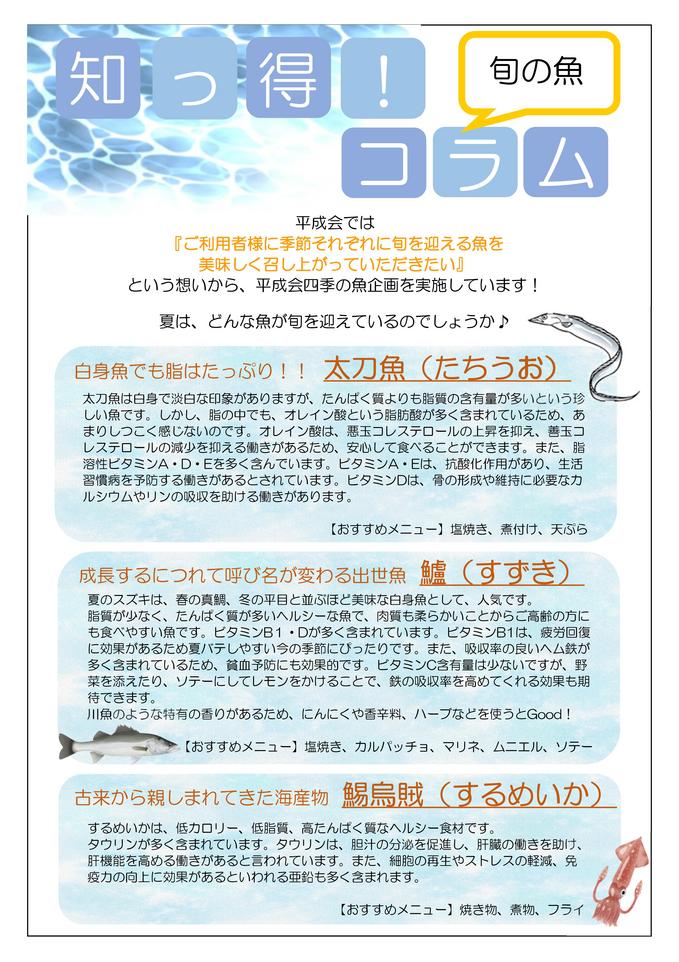 栄養コラム8月【魚】.jpg